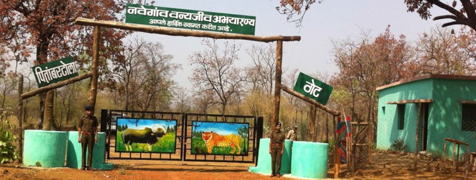 Navegaon National Park